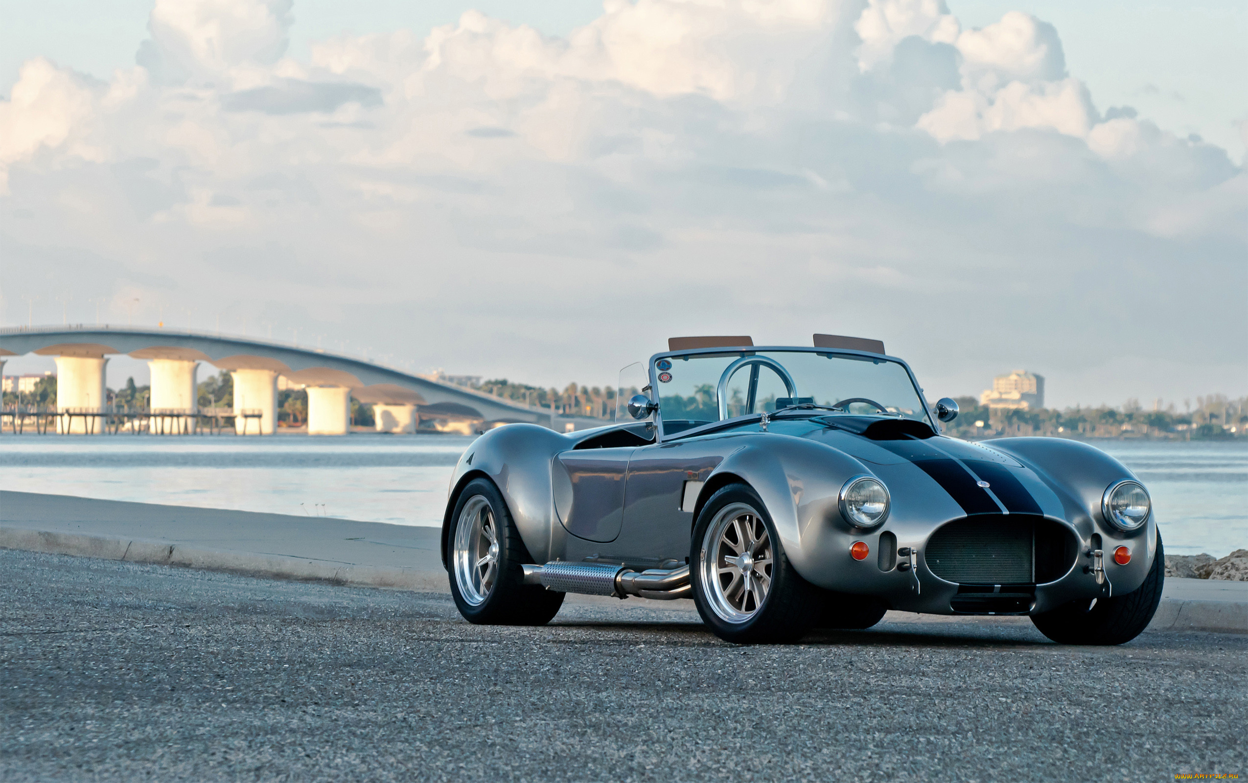 Shelby Cobra РѕР±РѕРё